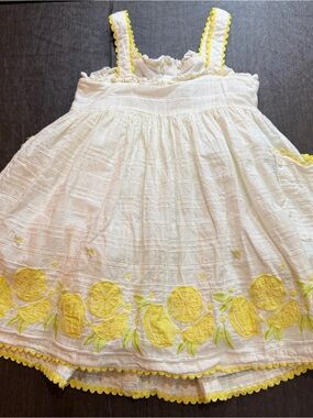 Etta Vee Lemon Embroidered Button-Down Dress Sz 4T 100% Cotton